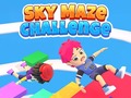 Sky Maze Challenge