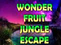 Wonder Fruit Jungle Escape