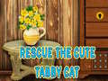 Rescue The Cute Tabby Cat