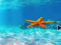 Escape From Underwater Starfish