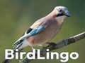 BirdLingo