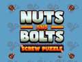 Nuts and Bolts Screw Puzzle