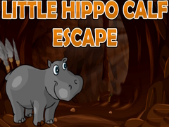 Little Hippo Calf Escape