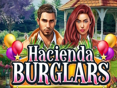 Hacienda Burglars