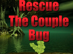 Rescue The Couple Bug