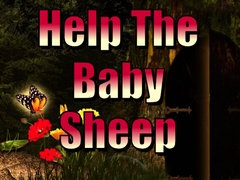 Help The Baby Sheep