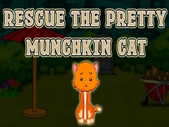 Rescue The Pretty Munchkin Cat