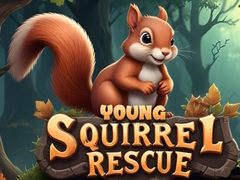 Young Squirrel Rescue
