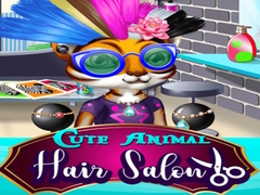 Cute Animal Hair Salon