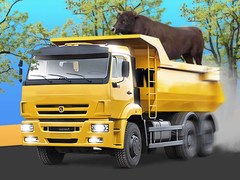 Animal Transporter Truck