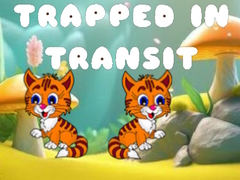 Trapped in Transit