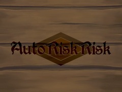 Auto Risk Risk