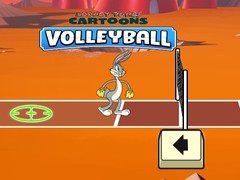 Looney Tunes Cartoons Volleyball