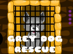 Grey Dog Rescue