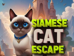 Siamese Cat Escape