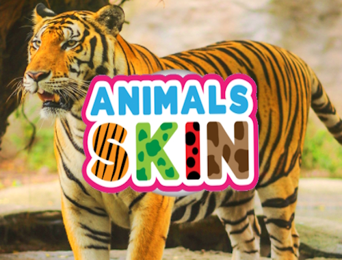 動物の皮 .