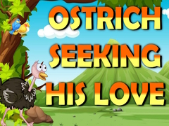 Ostrich Seeking His Love  