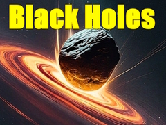 Black Holes