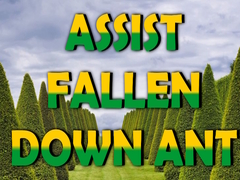  Assist Fallen Down Ant