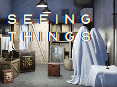 Seeing Things