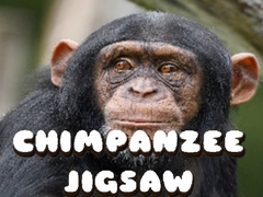 Chimpanzee Jigsaw