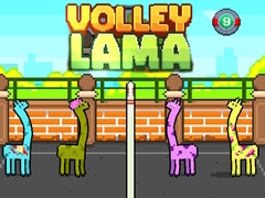 Volley Lama