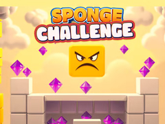 Sponge Challenge