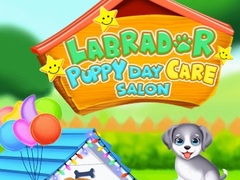 Labrador Puppy Daycare Salon