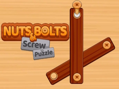 Nuts and Bolts Screw Puzzle