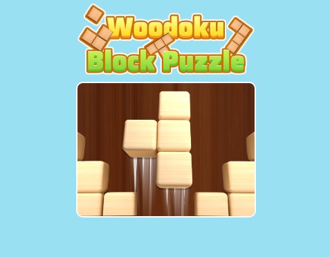 木読ブロックパズル .