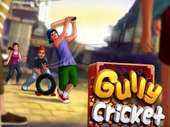 Gully Cricket