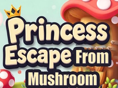 Princess Escape from Mushroom House