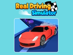 Real Driving Simulator