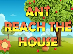 Ant Reach the House