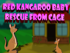 Red Kangaroo Baby Rescue from Cage