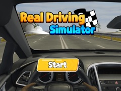 Real Driving Simulator