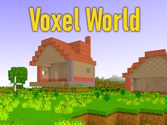 Voxel World