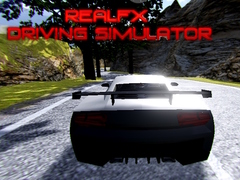 RealFX Driving Simulator