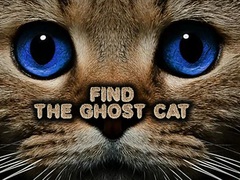 Find the Ghost Cat