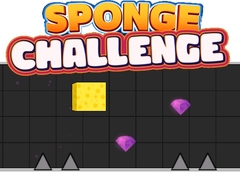 Sponge Challenge