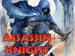 Assassin Knight