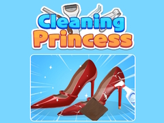 Cleaning Princess