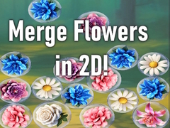 Merge Flowers in 2D!