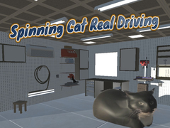 Spinning Cat Real Driving