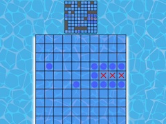 Battleship On Cells