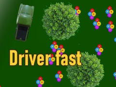 Driver fast