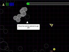 Infinite Asteroids