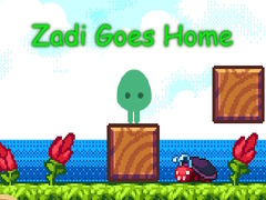 Zadi Goes Home