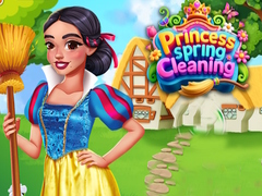 Princess Spring Cleaning