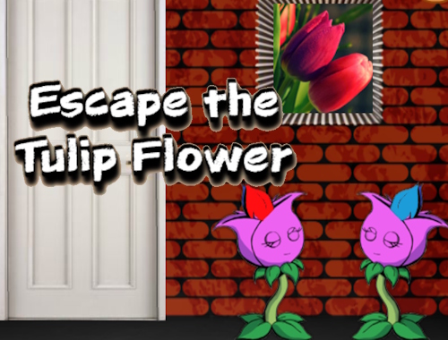 チューリップの花を逃がします .
